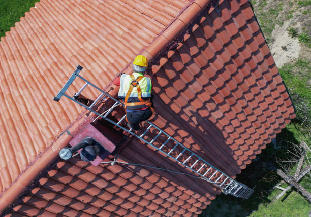 Best Roof Moss and Algae Removal  in Dellwood, MO